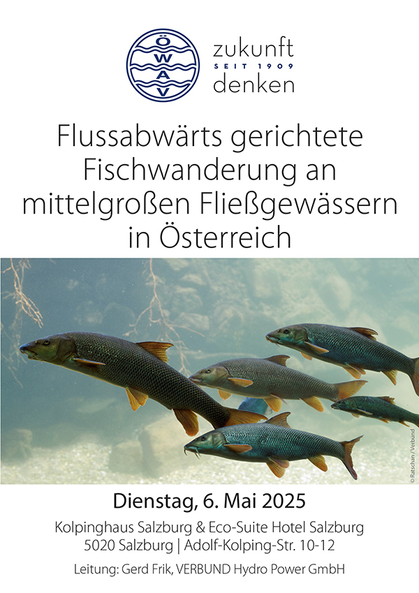 Cover Seminarfolder Flussabwärts gerichtete Fischwanderung an mittelgroßen Fließgewässern in Österreich