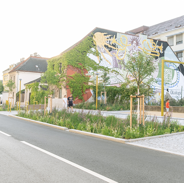 Folder Exkursion blau-grüne Infrastruktur (Foto: DnD Landschaftsplanung ZT GmbH)