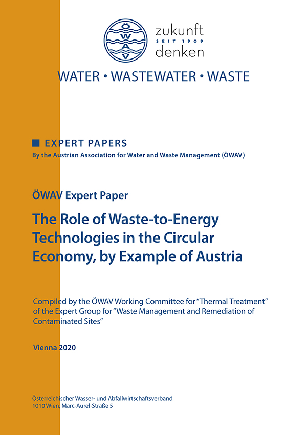 Cover Expertinnenpapier The Role of Waste-to-Energy Technologies